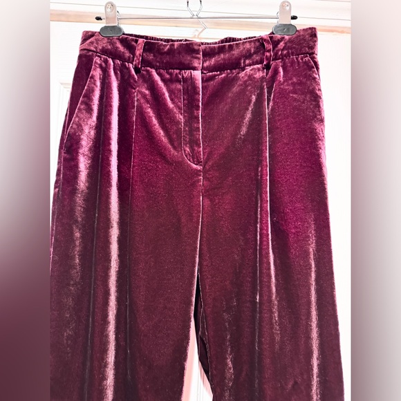 LOFT Pleated Tapered Pants in Velvet - size 6 - Picture 7 of 11